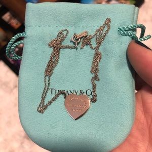 Tiffany&co double chain two toned necklace
